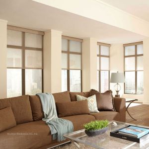 Lutron Battery-Powered Smart Roller Blinds 